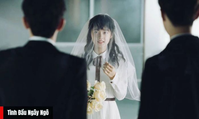 Tình Đầu Ngây Ngô - Một trong những bộ phim đáng xem nhất có sự góp mặt của Triệu Kim Mạch