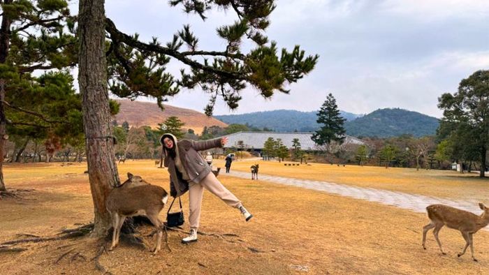 Nara Park near Kasuga Wakamiya Shrine