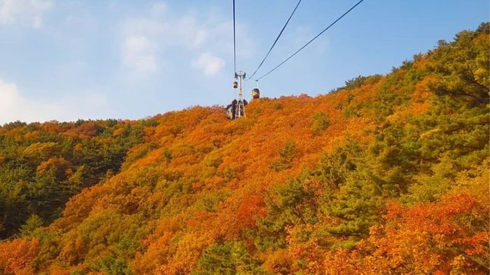 Palgongsan Mountain during South Korea's autumn foliage season