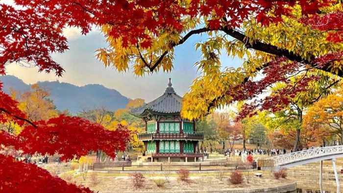 Experience the Vibrant Autumn Foliage in South Korea