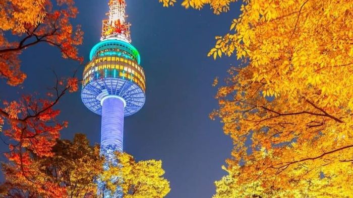 Namsan Tower (N Seoul) during South Korea's autumn foliage season