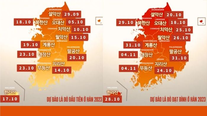 2023 South Korea Autumn Foliage Schedule