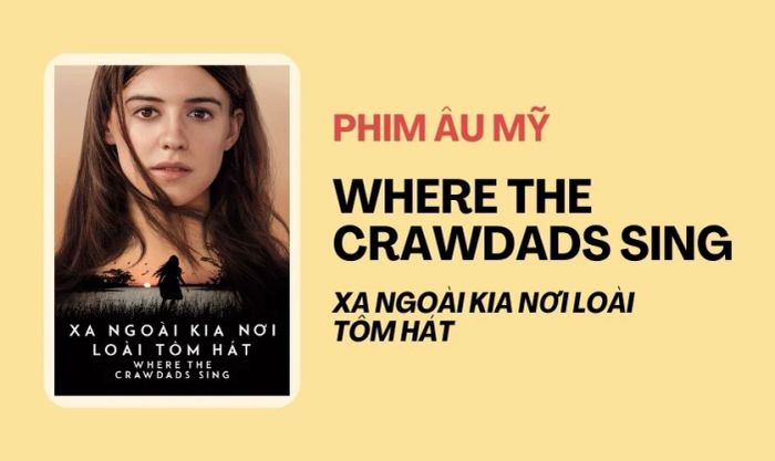 Những bộ phim tâm lý tình cảm Âu Mỹ xuất sắc nhất mọi thời đại