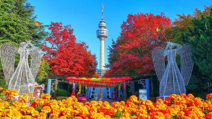 Travel to South Korea in autumn at E-World Park