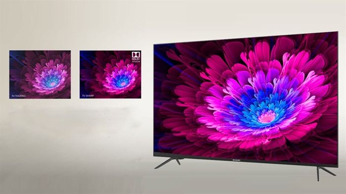 Tivi SHARP có thực sự tốt không?
