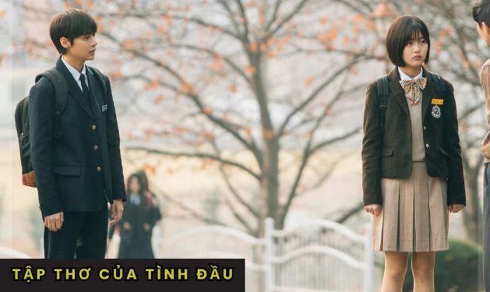 Các bộ phim và chương trình truyền hình có sự tham gia của Shin Eun-soo luôn đạt được sự yêu thích từ đông đảo khán giả.