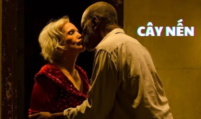 Cây Nến - Một câu chuyện tình yêu lãng mạn ở tuổi xế chiều