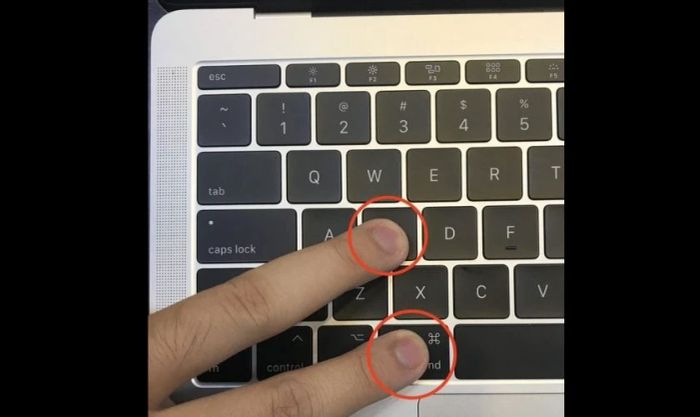 Giữ tổ hợp phím cho đến khi chữ trắng xuất hiện trên màn hình nền đen