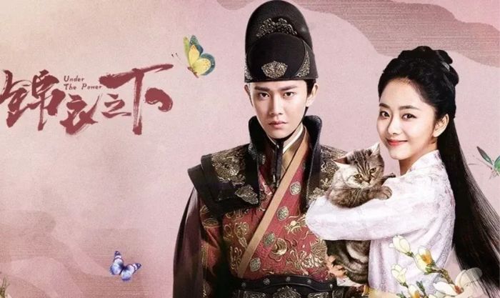 Cẩm Y Chi Hạ - Bộ phim trinh thám cổ trang hấp dẫn khiến bạn không thể rời mắt