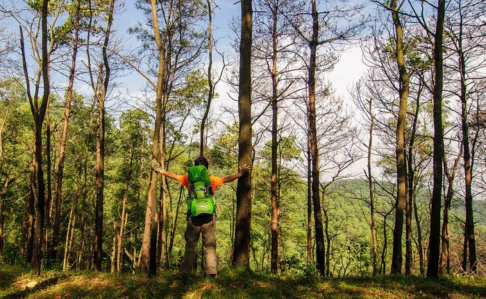 Ham Lon Mountain Image 1