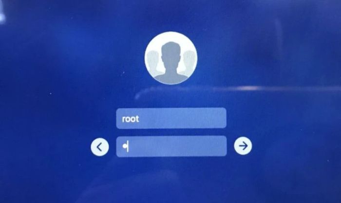 Đăng nhập với tài khoản root để tiếp tục quy trình