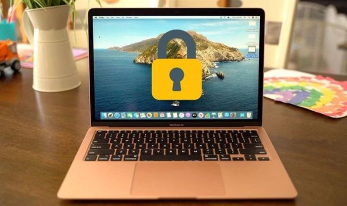 Mất quyền admin khi đổi user là một lỗi thường gặp trên MacBook