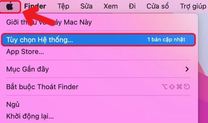 Nhấn vào biểu tượng Apple và chọn Tùy chọn Hệ thống