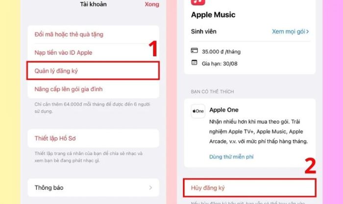Vào mục Quản lý đăng ký và chọn Hủy đăng ký để tiếp tục