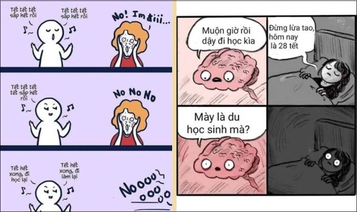Những mẫu meme Tết hài hước và đáng yêu nhất