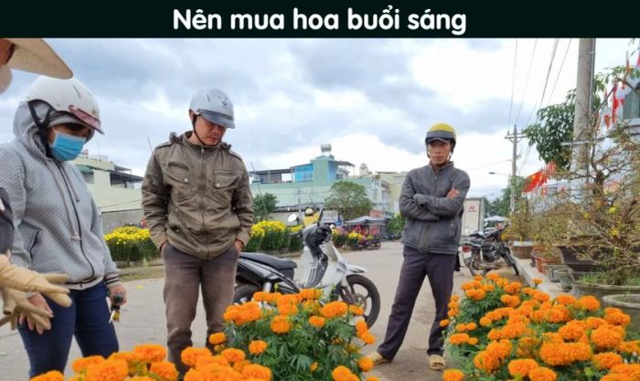 Làm sao để chọn hoa vạn thọ tươi lâu hơn?