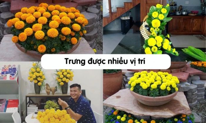 Chọn vị trí và không gian phù hợp để đặt bình hoa
