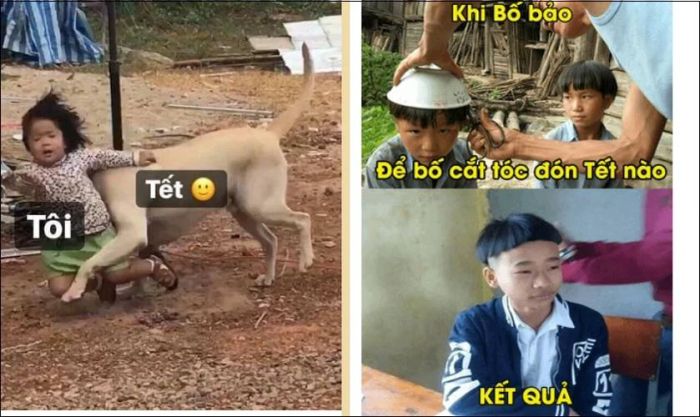 Tổng hợp 20 mẫu meme Tết hài hước để năm mới thêm sôi động