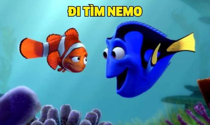 Đi Tìm Nemo là bộ phim hoạt hình gắn liền với ký ức tuổi thơ của nhiều người.