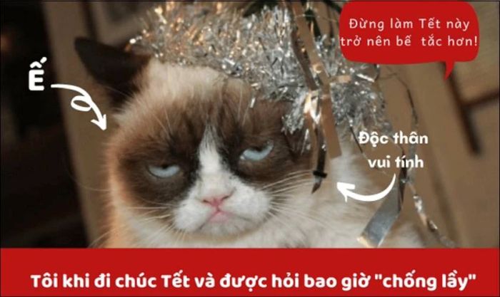 Những mẫu meme Tết hài hước nhất cho năm mới thú vị