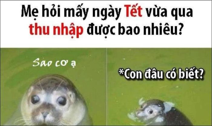 Meme Tết hài hước và đáng yêu nhất