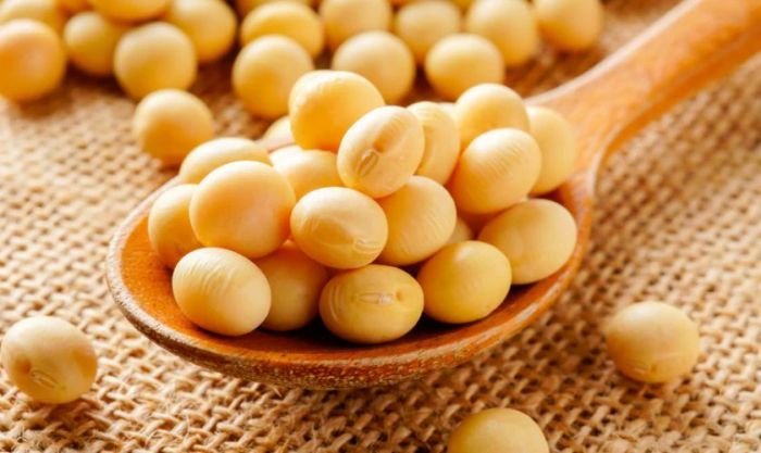 Đậu nành là một trong 5 loại đậu dùng để cúng vía Thần Tài