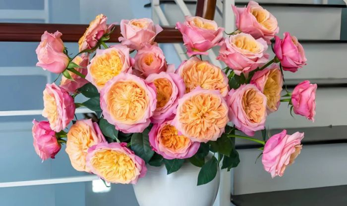 Mẫu cắm hoa hồng trưng ngày Tết mang phong cách độc đáo