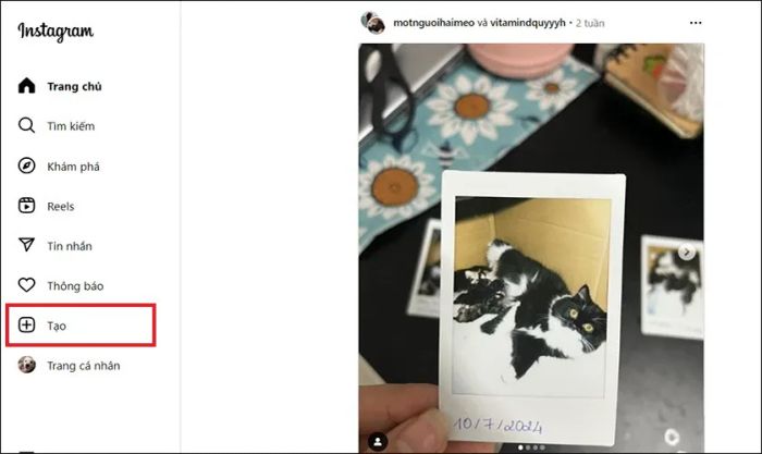 Những lợi ích khi đăng story Instagram trên máy tính là gì?