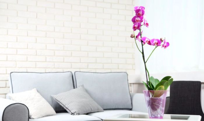 Mẫu cắm hoa lan ngày Tết đơn giản nhưng thanh lịch