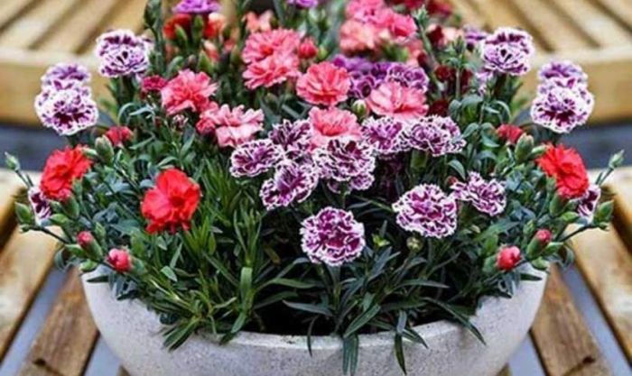 Trang trí bình hoa đẹp cho mùa Tết đầy ấn tượng