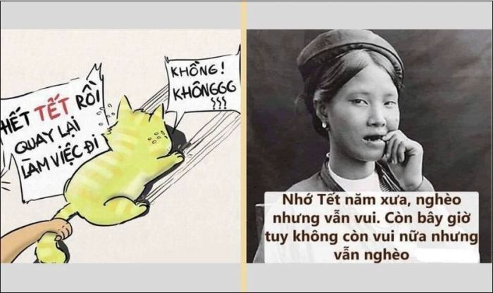 20 mẫu meme Tết độc đáo và hài hước cho năm mới