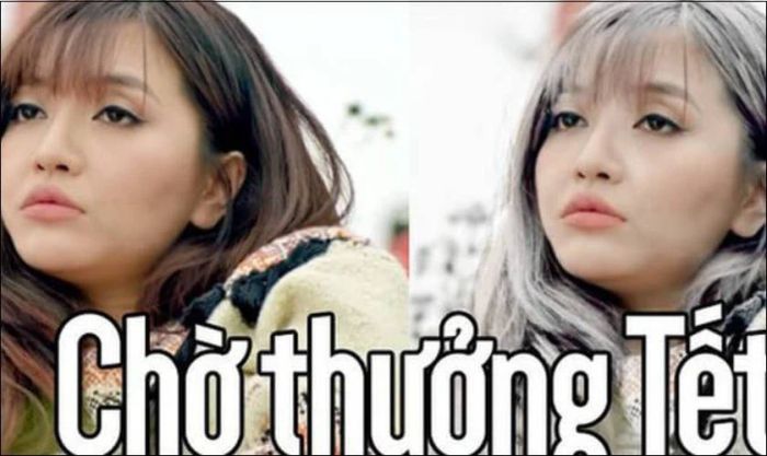 Tuyển tập ảnh chế Tết đầy sáng tạo