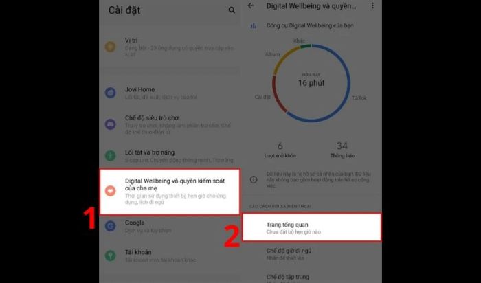 Truy cập vào Sức khỏe kỹ thuật số để xem chi tiết thời gian sử dụng ứng dụng