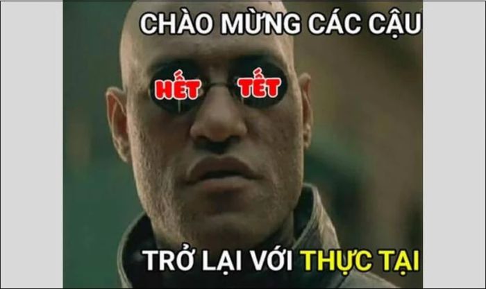 Những mẫu ảnh chế Tết độc đáo và sáng tạo