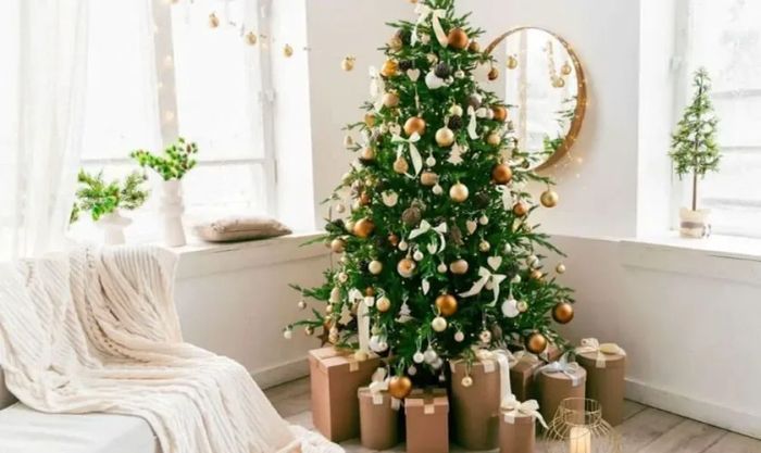 Trang trí phòng khách cùng cây thông Noel