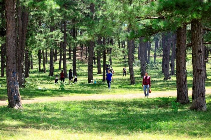 VanCao Green Homestay Image 1