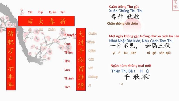  Năm năm xuân như ý