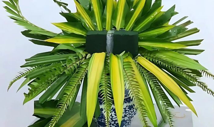 Sắp xếp lá dương xỉ xung quanh miệng bình để tạo khung tự nhiên