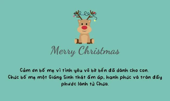 Lời chúc Giáng Sinh công giáo dành cho bố mẹ