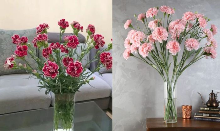 Cách cắm hoa cẩm chướng ngày Tết trong lọ cao để bàn