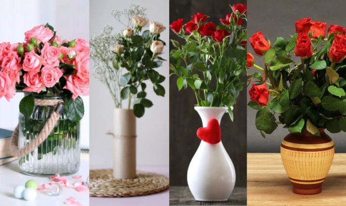 Việc chọn kích thước bình phù hợp là yếu tố không thể bỏ qua.