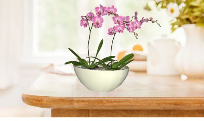 Mẫu cắm hoa lan tím hai cành ngày Tết thanh thoát, thanh lịch