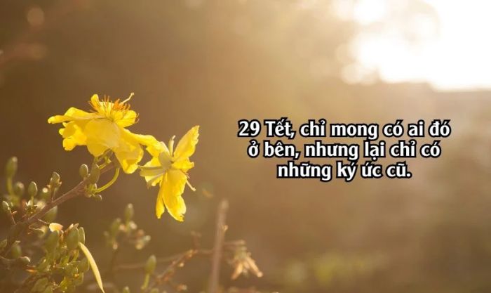 STT 29 Tết buồn đầy tâm trạng