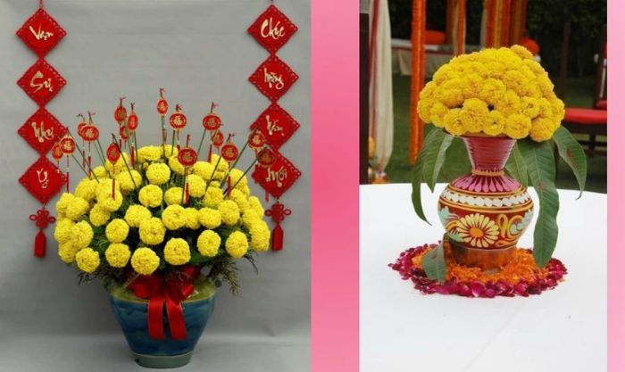 Cách cắm hoa vạn thọ ngày Tết theo hình vòm