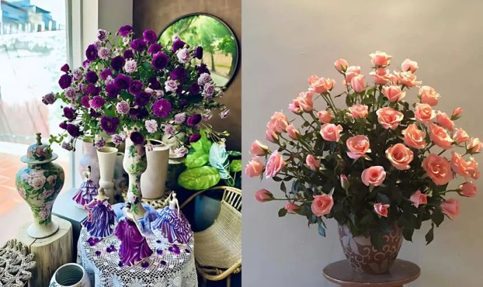 Cách cắm hoa hồng ngày Tết theo hình dẻ quạt