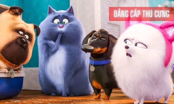 Phim hoạt hình chiếu rạp đáng xem - Đẳng Cấp Thú Cưng