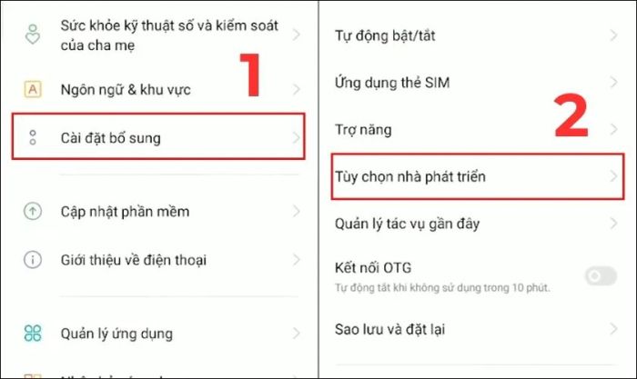 Truy cập mục Cài đặt bổ sung, sau đó chọn Tùy chọn nhà phát triển