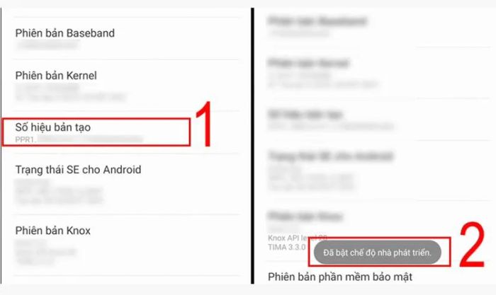 Phiên bản xây dựng