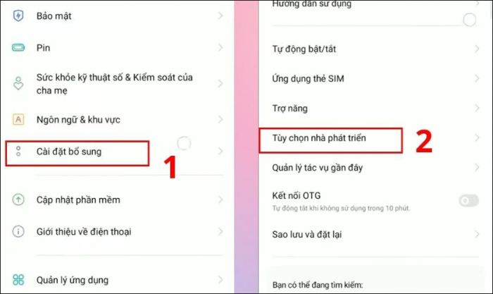 Nhấn chọn mục Tùy chọn nhà phát triển