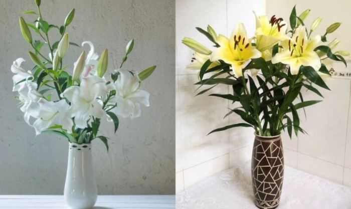 Cách cắm hoa ly ngày Tết đơn giản chỉ với 5 bông